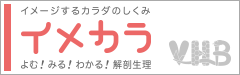 イメージするカラダのしくみ イメカラ よむ！みる！わかる！解剖生理