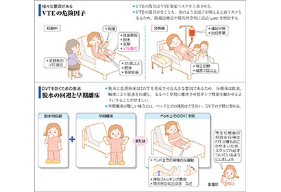 医学系 イラストレーター K A 先輩インタビュー 株式会社メディックメディア 採用特設サイト