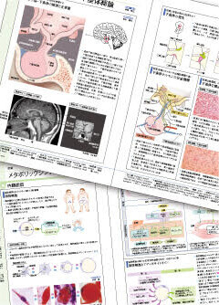 新しい医学書をつくる：常識を覆して、はじめてできる