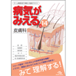 医療共通（みえるシリーズ等）/病気がみえる　vol.14　皮膚科　第1版