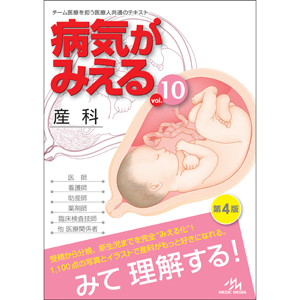 病気がみえる vol.1〜10 10冊セット