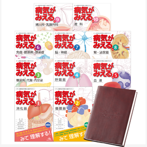 病気がみえる　vol.1〜vol.10 書籍セット